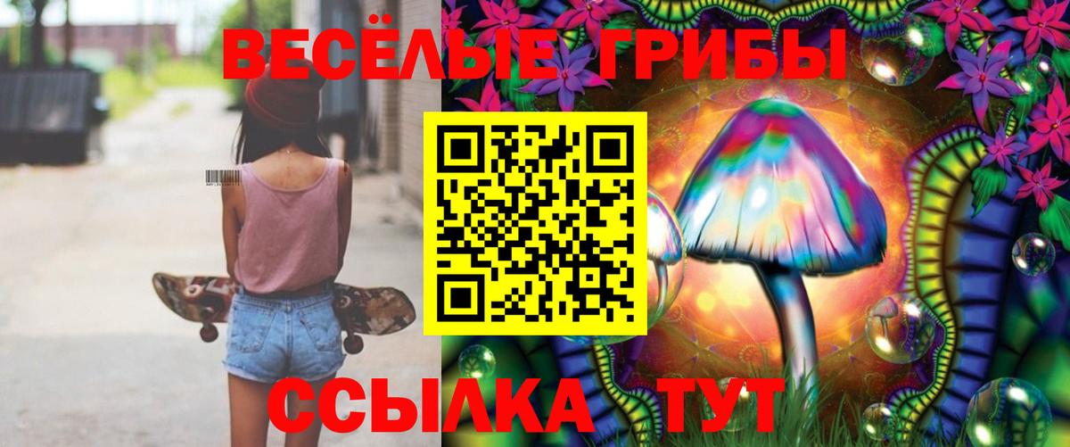 Галлюциногенные грибы MAGIC MUSHROOMS Будённовск