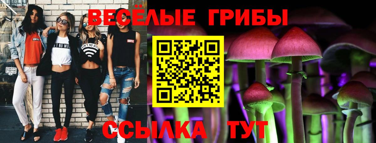 Псилоцибиновые грибы Psilocybine cubensis  Вход с VPN  Будённовск 